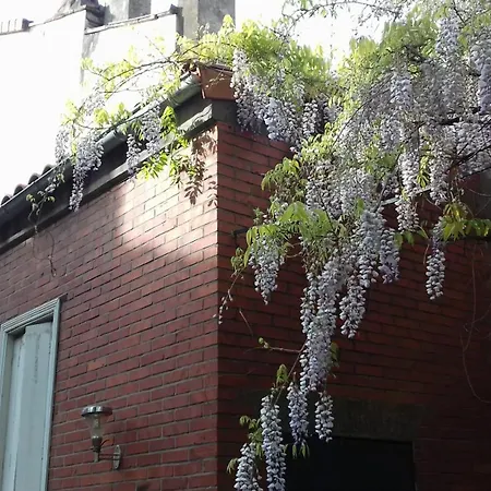 빌라 La Toulousaine De Clo